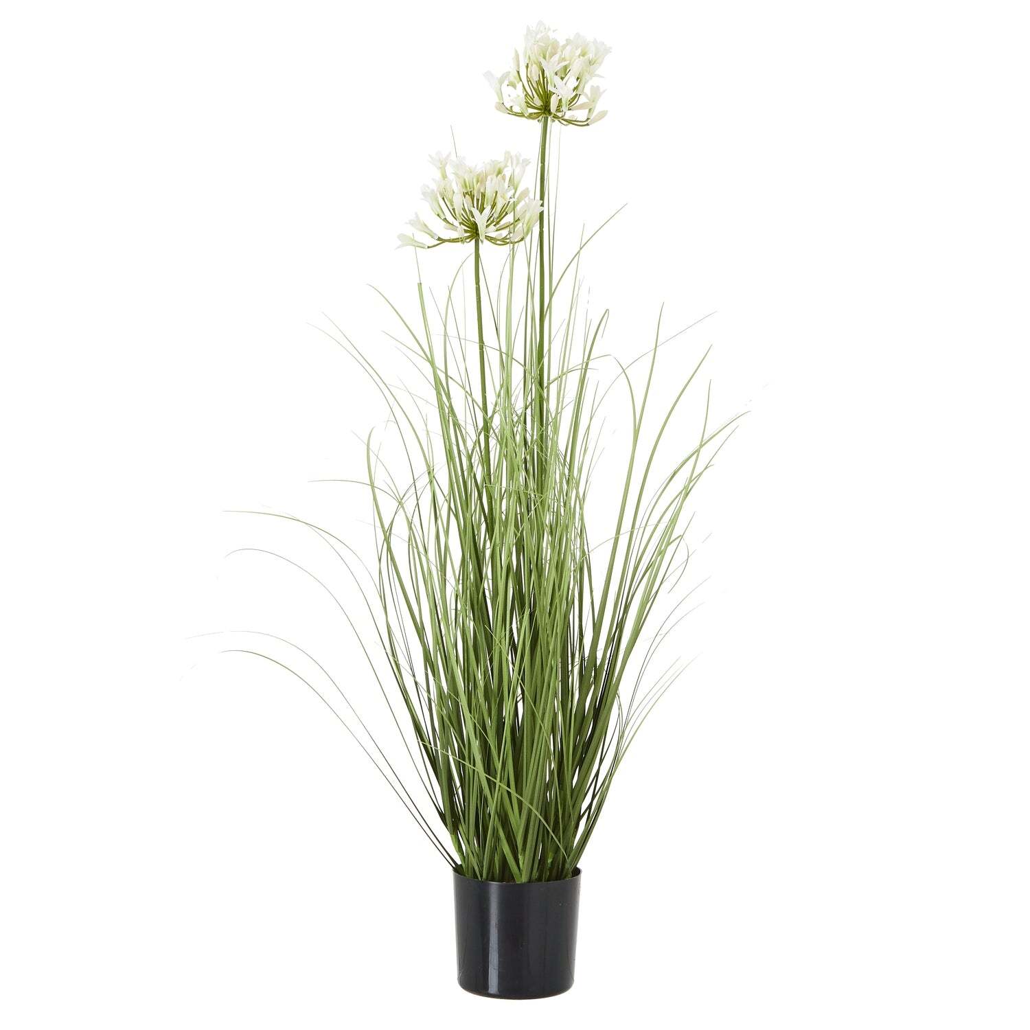 Sostter Unisex Black White Agapanthus Faux Plant In Decorative Pot In - Image 4