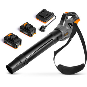 Leaf Blower Cordless with x2 20V Batteries and Charger
