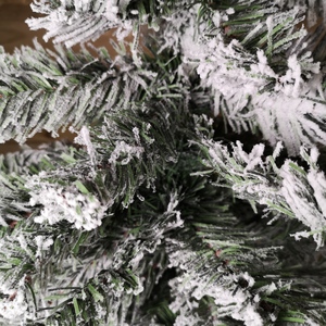  shot 2399559