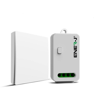 1 Gang Wireless Kinetic Switch, 500W Non Dimmable, Wi-Fi 5A RF Receiver