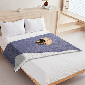 Washable Pets Mat