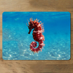 Mediterranean Seahorse Designer Placemat Set
