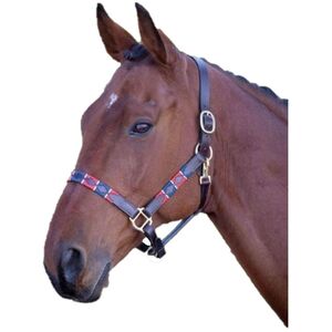 Blenheim Leather Polo Horse Headcollar