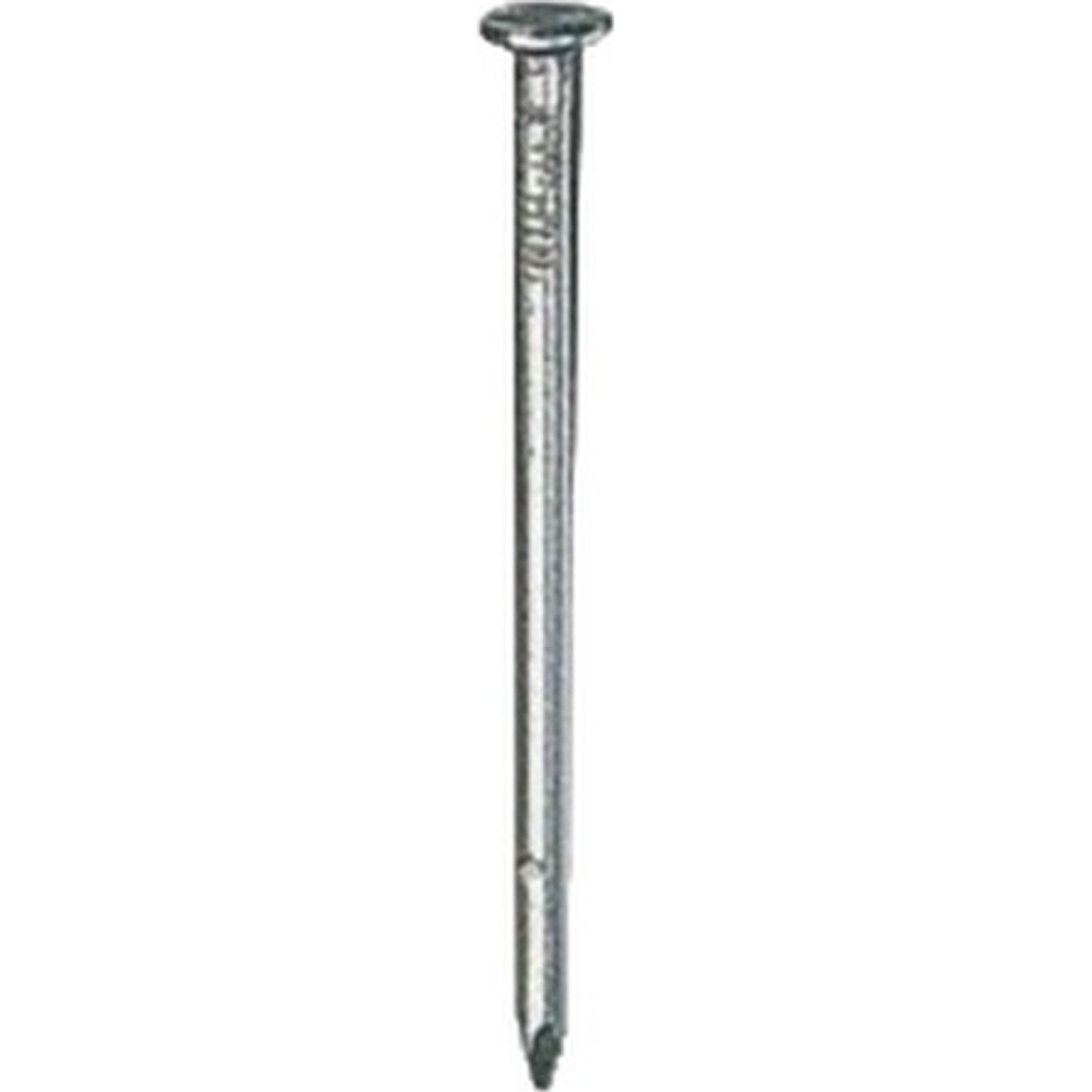 Securfix Bright Round Round Nails - Silver