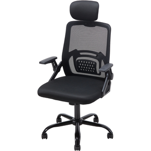 Ergonomic Office Chair with Mesh