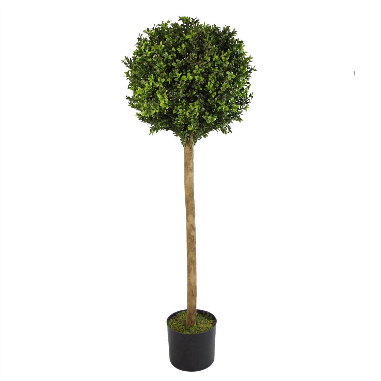 Blue Pirate Artificial Boxwood Buxus Topiary Tree 120Cm Trunk - Image 5