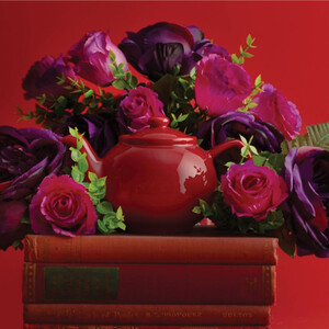 Red 2 Cup Teapot