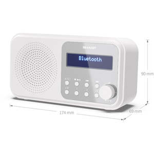 Tokyo Portable Digital Radio with Bluetooth Music Streaming