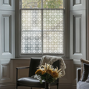 white / 45cm Albiolo Frosted Privacy Window Film shot 7196590