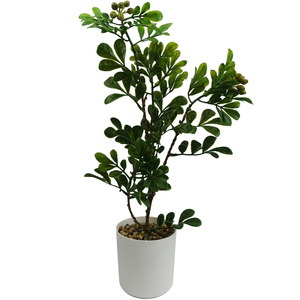 Artificial Bonsai Tree in Display Pot