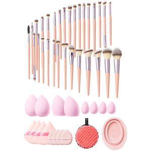 Cosmetic Brushes and Accessories Kit