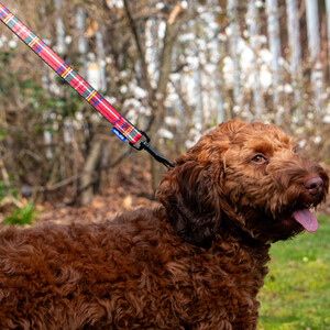 Tartan Dog Lead