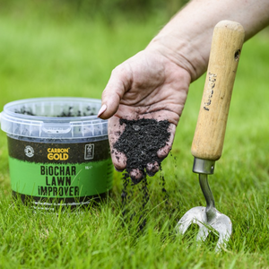 Aftercut Patch Fix Lawn Repair 64 Patches for Dog Spots and Bare Areas