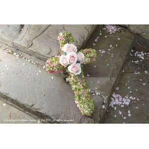 Val Spicer Cross 2 Oasis Foam Pack of 2