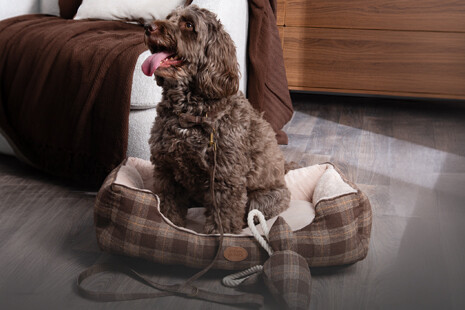 2up_pet-beds
