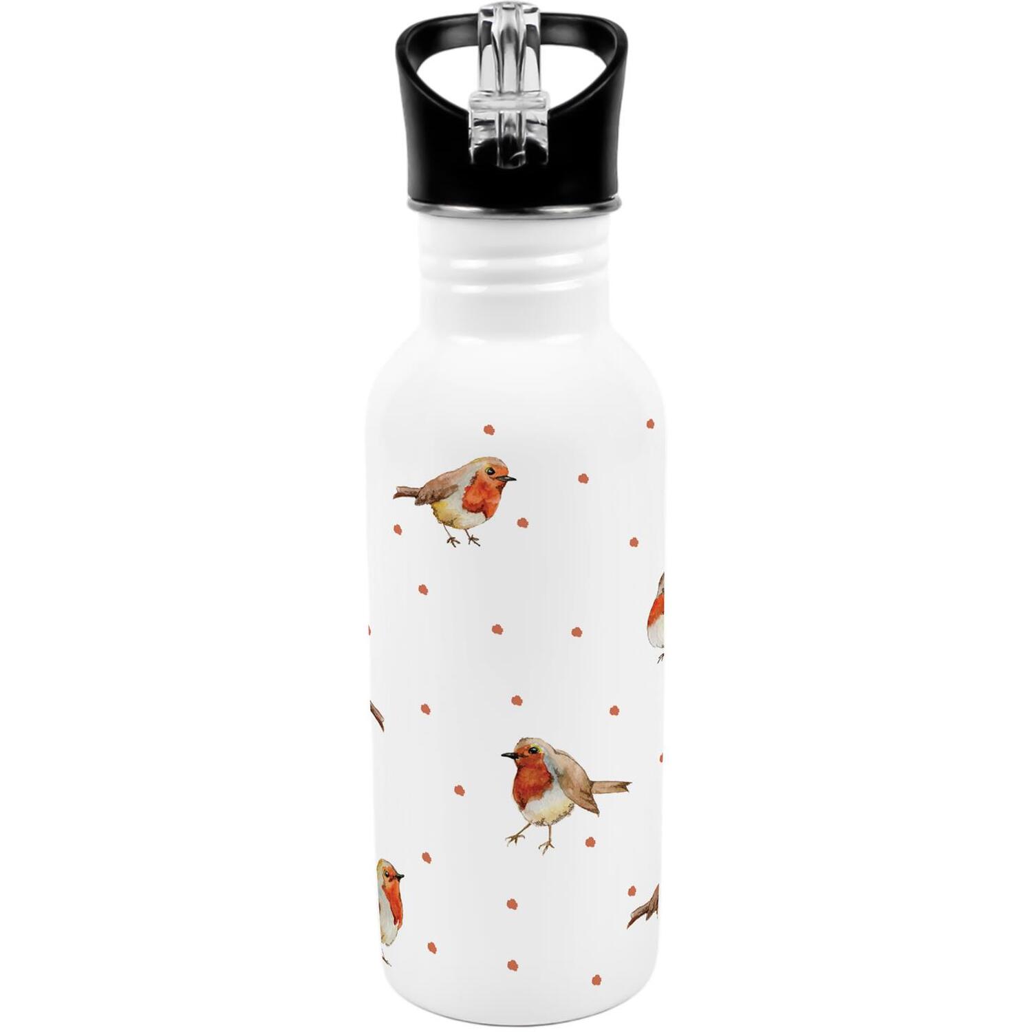 Purely Home English Robins Metal Canteen Water Bottle - Multi