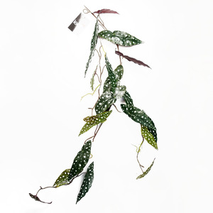Artificial Hanging Trailing Begonia Maculata Spotted Plant