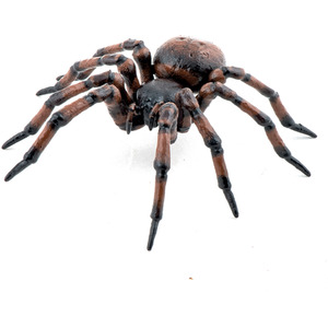 PAPO Wild Life in the Garden Common Spider Toy Figure - 50292