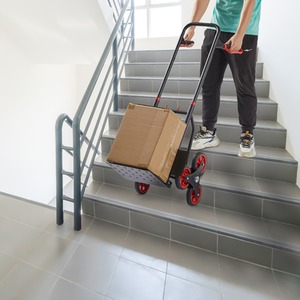  shot 6015341