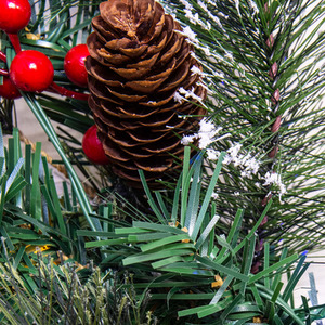  shot 6663773