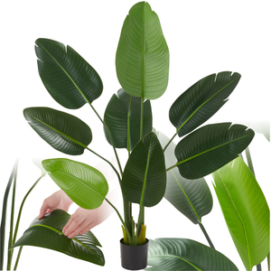 shot 9976149