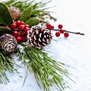 30 Real Pine Cone Christmas Ornaments