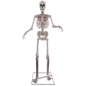 8ft Standing Animatronic Halloween Skeleton Decoration