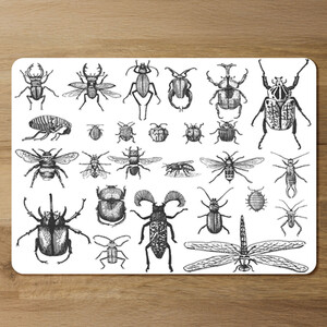 Fleas many species in vintage old hand drawn style Designer Placemat Set