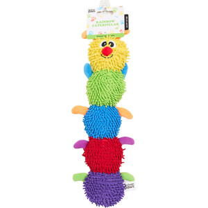 Rainbow Caterpillar
