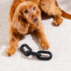 Chain Link Chewable Dog Toy