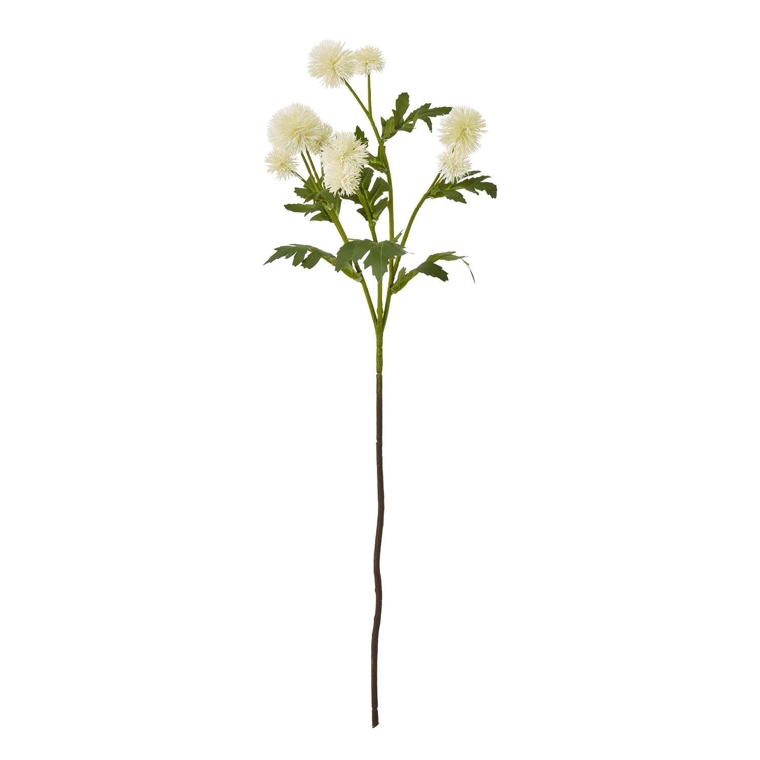 Set of 3 Globe Thistle Artificial Flowers - Cream