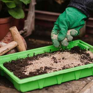  shot 16701779