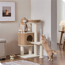 Cat Posts, Scratchers & Towers