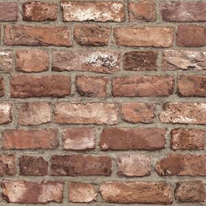  shot 17023144