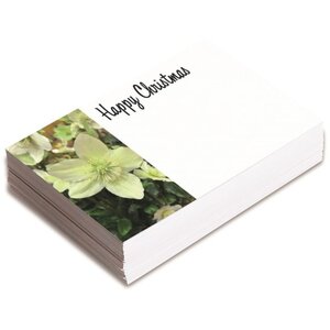 Christmas Hellebore Florist Card 250 Pack