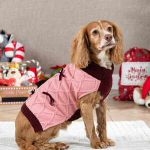 Pet Bow Jumper