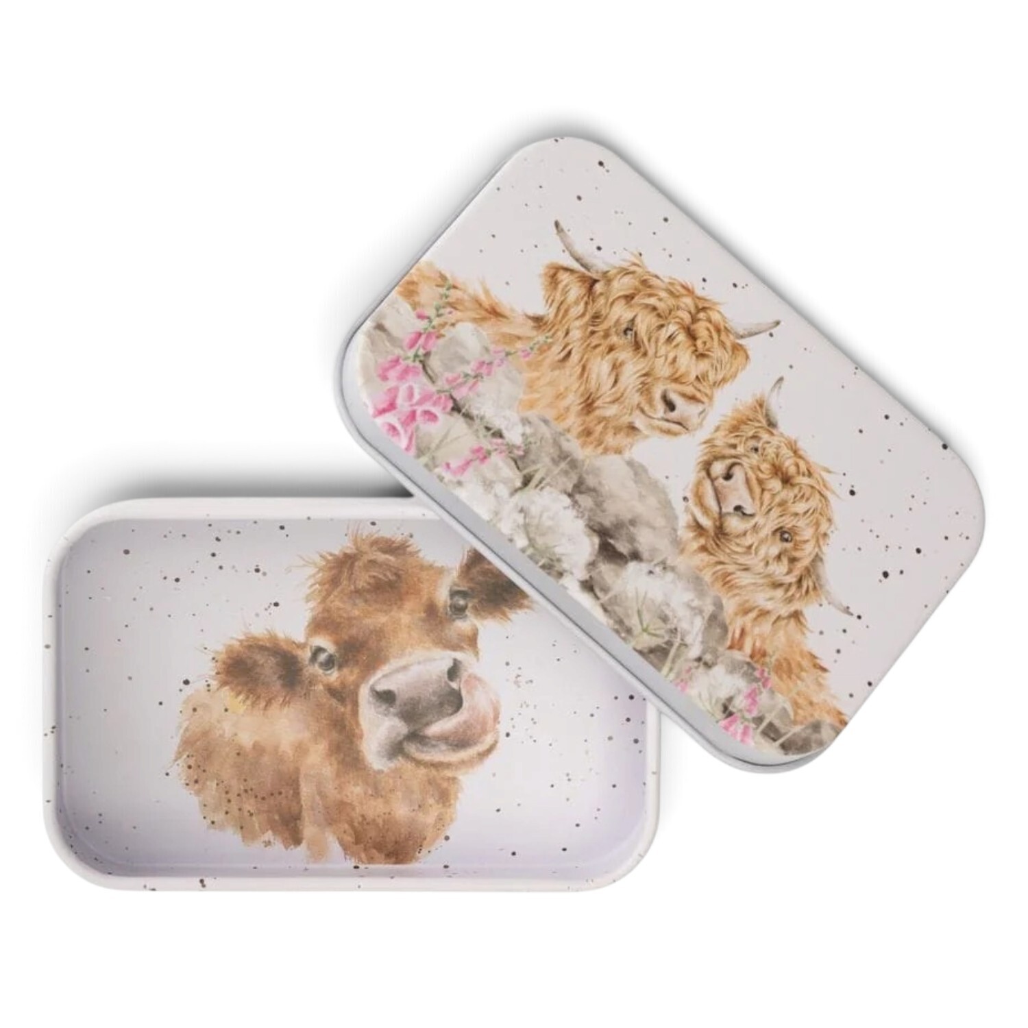 B&Q -  Mini Gift TinAirtight Rectangular Storage Tin 9.5 X 6 X 2.5 CmFour IllustrationsMulticolour - Image 2