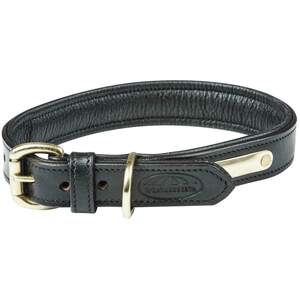 Padded Leather Dog Collar
