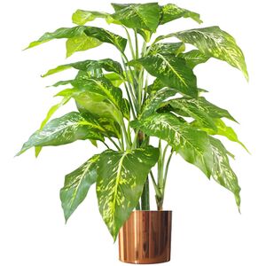  shot 2673313