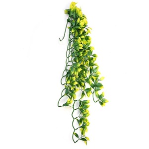 Swell Reptiles Premium Mandarin Plant