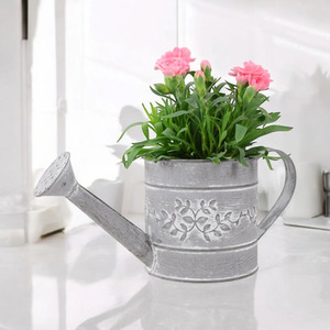 Dianthus Planter in Metal Watering Can - Colourful Garden Display