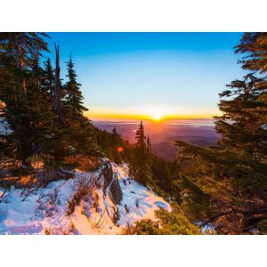 Sunset in the Snowy Forest 1000 Piece Jigsaw Puzzle