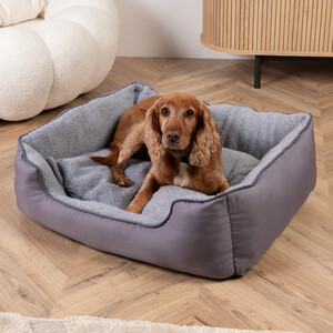 ReNew Pet Bed