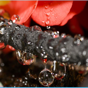 Porous Hose Pipe With Outside Tap Connecter