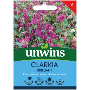 Marshalls Garden Clarkia 'Brilliant' Flower Seeds, 500 Seeds, Pink Blooms