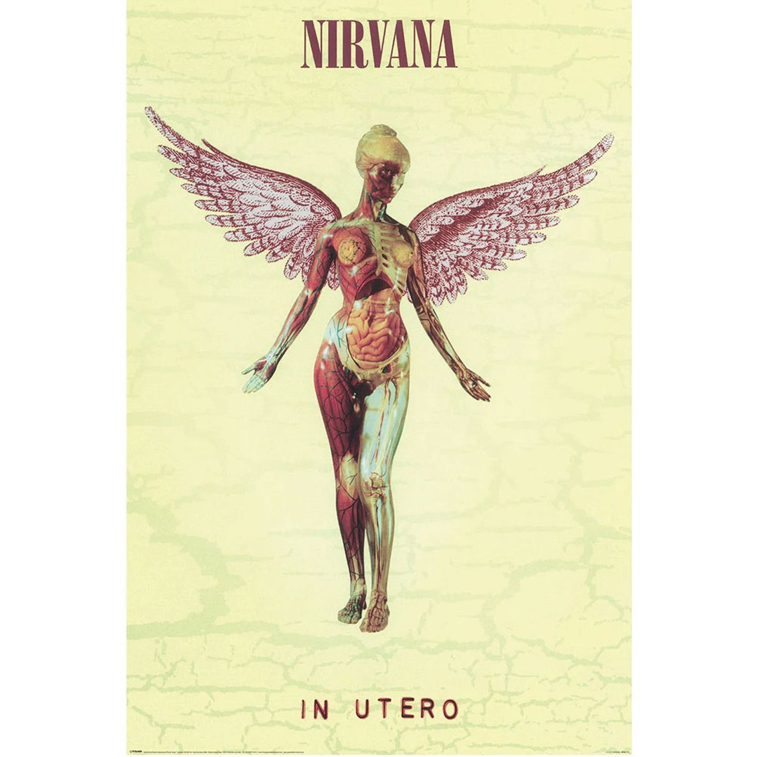 Nirvana In Utero Paper Poster - Multicoloured