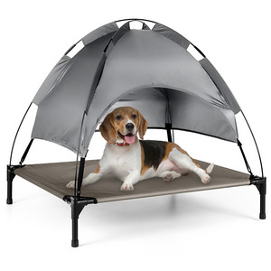  shot 17781229