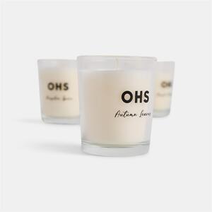 OHS Pumpkin Spice Scented Glass Candle