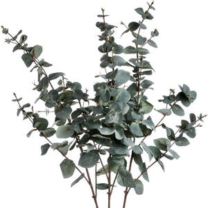  shot 21091164