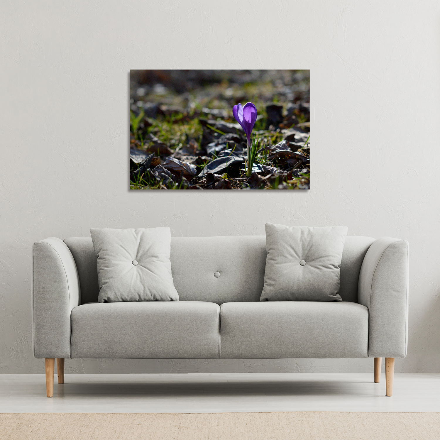 autumn flower bloom in nature Canvas Print - Purple / 101cm / 77cm